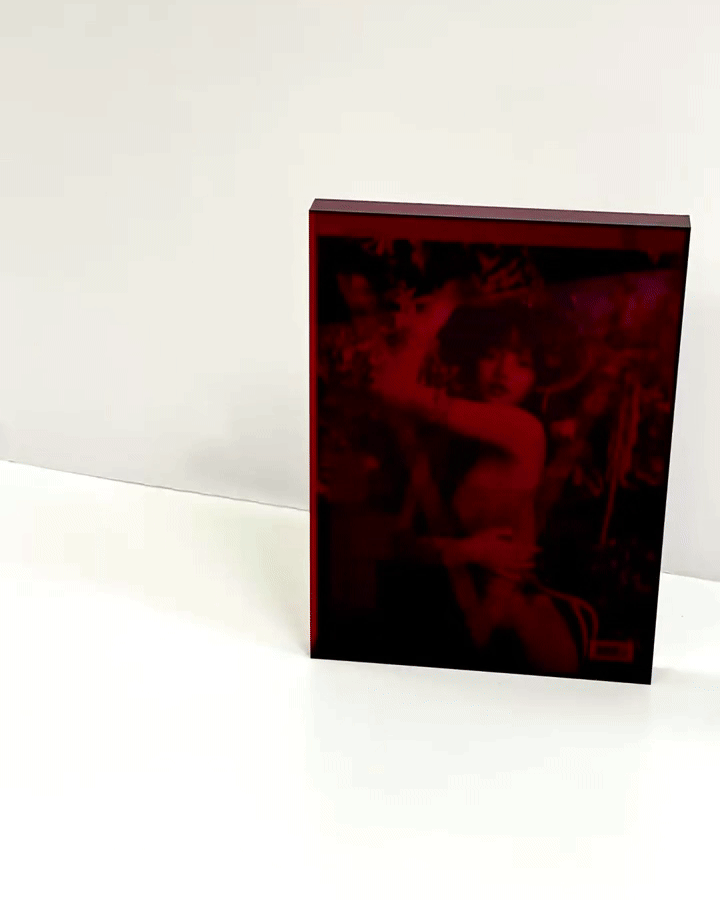 V152: FOUR SEASONS OF LISA BOX SET (COLLECTOR'S EDITION)