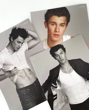 V COLLECTOR'S CLUB PRESENTS: SHAWN MENDES